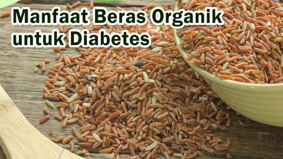 Manfaat Beras Organik untuk Diabetes