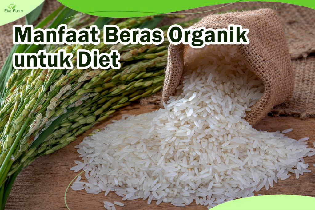 4 Manfaat Beras Organik Untuk Diet. Apa Saja Manfaatnya Eka Farm