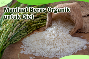4 Manfaat Beras Organik Untuk Diet. Apa Saja Manfaatnya
