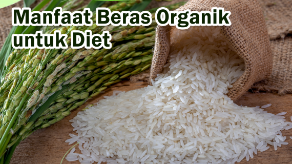 4 Manfaat Beras Organik Untuk Diet. Apa Saja Manfaatnya