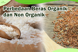 Perbedaan Beras Organik dan Non Organik