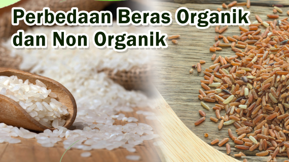 Perbedaan Beras Organik dan Non Organik