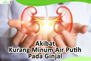Akibat Kurang Minum Air Putih Pada Ginjal yang Tidak Boleh Diabaikan 