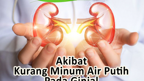 Akibat Kurang Minum Air Putih Pada Ginjal yang Tidak Boleh Diabaikan 