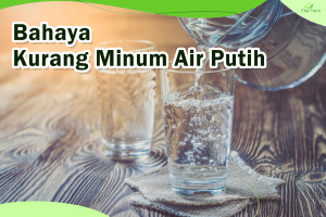 Inilah Bahaya Kekurangan Air Putih, Tidak Boleh Disepelekan