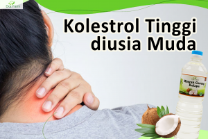 Kolesterol Tinggi Di Usia Muda. Ini Dia Tips Hidup Sehat dan Terhindar Kolestrol Tinggi