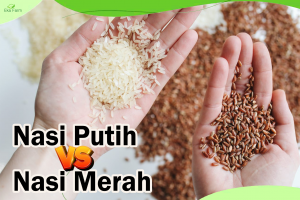 Nasi Merah vs Nasi Putih, Mana yang Lebih Bagus ?
