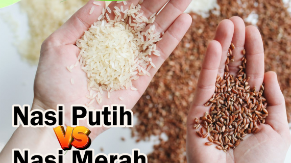 Nasi Merah vs Nasi Putih, Mana yang Lebih Bagus ?