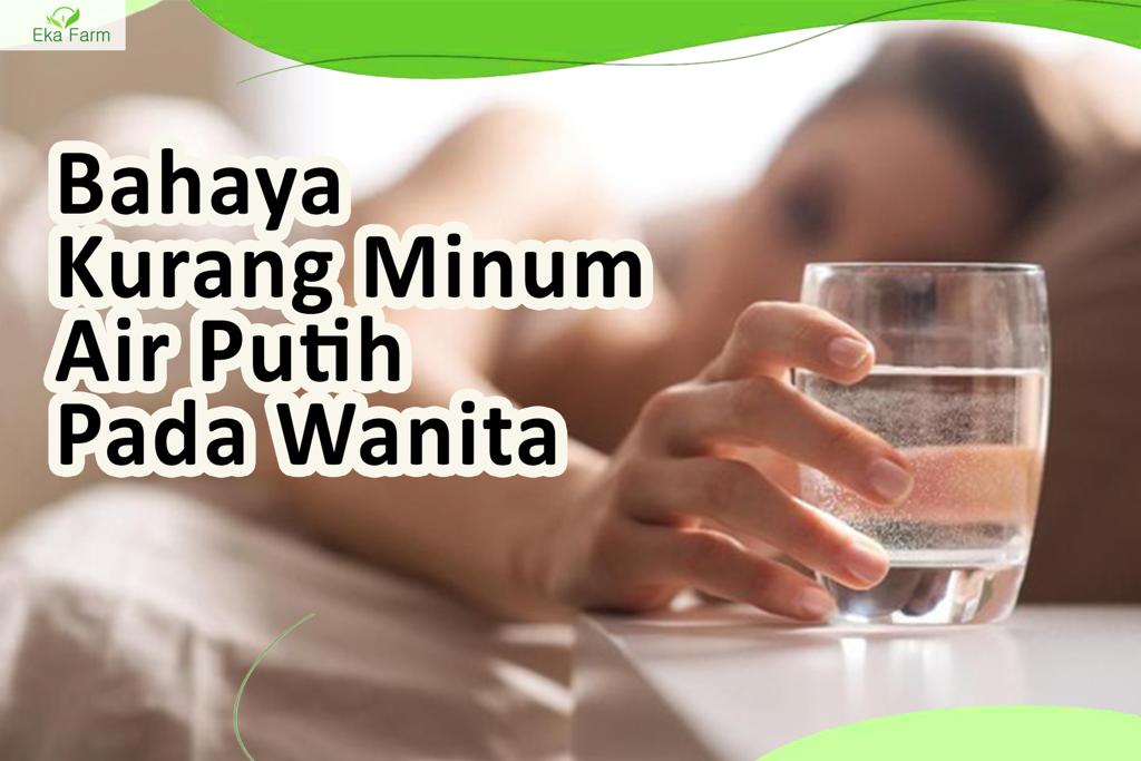 Akibat Kurang Minum Air Putih Pada Wanita Saat Menstruasi – Eka Farm