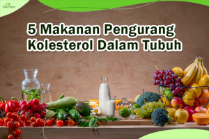 5 Pilihan Makanan Pengurang Kolesterol Dalam Tubuh