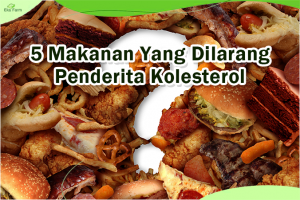 makanan yang dilarang untuk penderita kolesterol