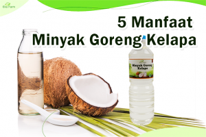 Manfaat Minyak Goreng Kelapa yang Belum Diketahui Banyak Orang