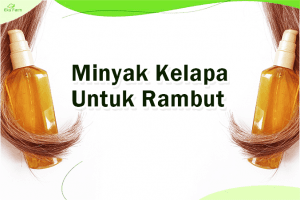 Inilah Segudang Manfaat Minyak Kelapa untuk Rambut