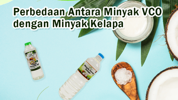 Perbedaan Antara Minyak VCO dan Minyak Kelapa