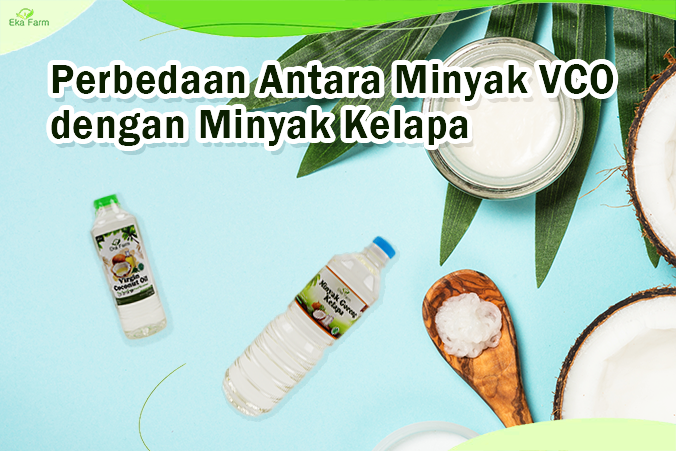 Perbedaan Minyak VCO Dan Minyak Kelapa - Eka Farm