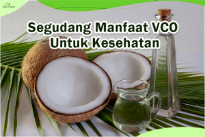 Manfaat VCO untuk Kesehatan, Inilah Segudang Manfaatnya