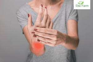 12 Obat Asam Urat Alami Dari Dapur Dan Cara Menghindari Asam Urat