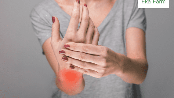 12 Obat Asam Urat Alami Dari Dapur Dan Cara Menghindari Asam Urat