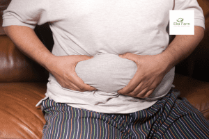 Obesitas – Gejala, Penyebab, Pencegahan dan Pengobatannya