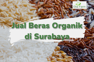 Jual Beras Organik Surabaya, Buruan Beli!!!