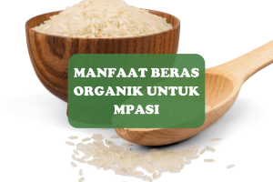 Manfaat Beras Organik Untuk MPASI