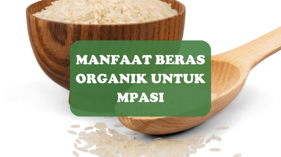 Manfaat Beras Organik Untuk MPASI