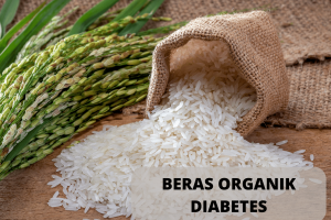 Beras Organik Diabetes, Beras Putih Anti Diabetes