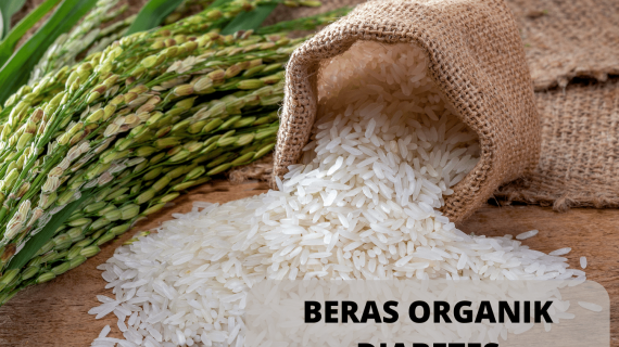 Beras Organik Diabetes, Beras Putih Anti Diabetes