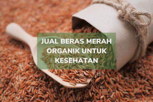 Jual Beras Merah Organik untuk Kesehatan