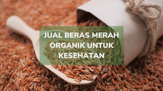 Jual Beras Merah Organik untuk Kesehatan