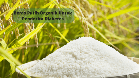 Beras Putih Organik Untuk Penderita Diabetes