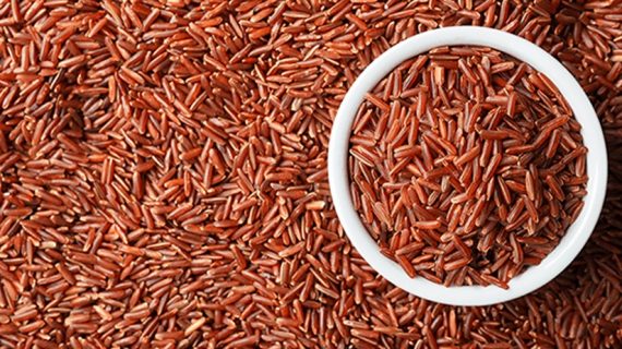 Beras Merah untuk Diabetes:  Pilihan Nutrisi untuk Mengatasi Diabetes dengan Lebih Baik
