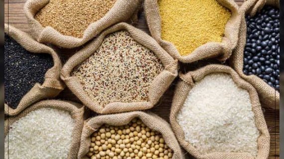 Keberagaman Variasi Makanan Pokok di Indonesia