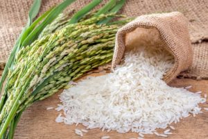 Pilihan yang Bijak Cara Diet Tetap Makan Nasi yang Sehat