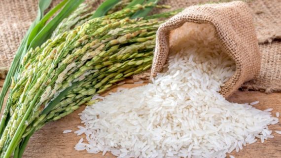 Pilihan yang Bijak Cara Diet Tetap Makan Nasi yang Sehat