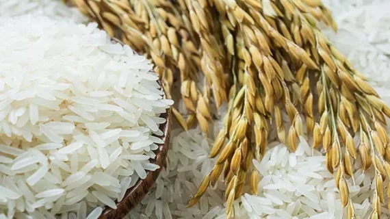 Manfaat dan Fakta Menarik tentang Kalori Beras Organik