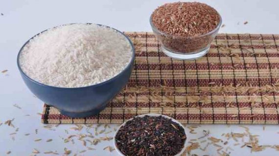 Beras Organik untuk Diet dan Keseimbangan Nutrisi