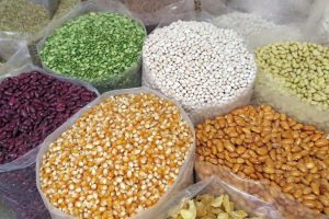 Inovasi Kuliner: Bahan Makanan Pengganti Beras untuk Gaya Hidup Sehat dan Berkelanjutan