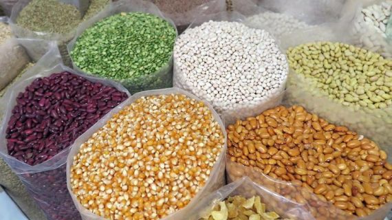 Inovasi Kuliner: Bahan Makanan Pengganti Beras untuk Gaya Hidup Sehat dan Berkelanjutan