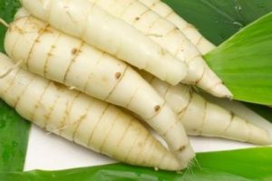 Panduan Praktis Cara Memasak Tepung Garut untuk Kesehatan Lambung Optimal