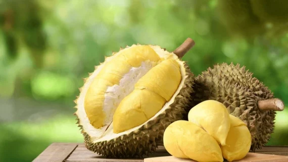 Menggali Fakta dan Mitos: Diabetes dan Konsumsi Durian
