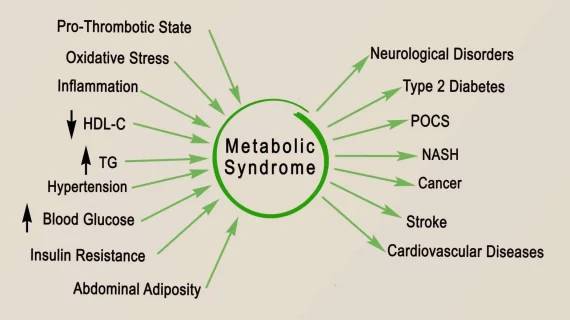 Menyelusuri Akar Masalah Kesehatan Penyebab Gangguan Metabolisme