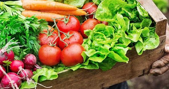 Sayur Bersahabat atau Musuh Perut? Panduan Sayuran untuk Penderita Maag