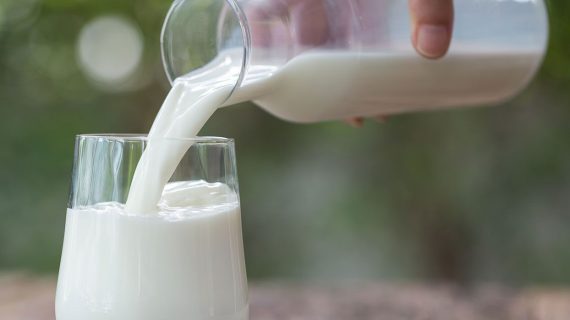 Laktosa Susu untuk Diabetes: Apa yang Perlu Diketahui?