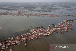 Kelangkaan Beras di Indonesia: Penyebab, Dampak, dan Solusi