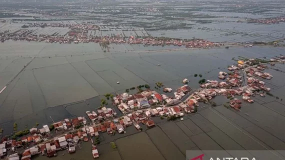 Kelangkaan Beras di Indonesia: Penyebab, Dampak, dan Solusi