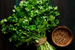 Daun Cilantro Lebih dari Sekadar Hiasan di Piring Anda