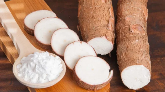 Kenalan dengan Mocaf: Tepung Singkong yang Bisa Gantikan Tepung Terigu untuk Hidup Lebih Sehat