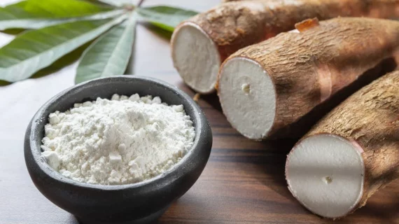 Mengenal Perbedaan Kalori: Tepung Mocaf vs Tepung Terigu untuk Kebutuhan Diet Anda