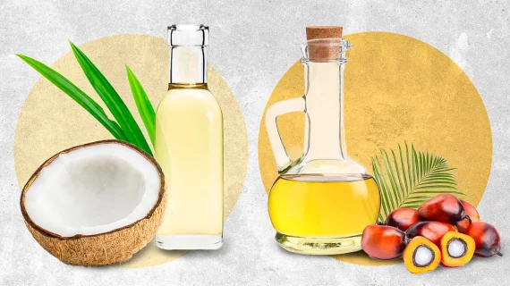 Minyak Kelapa vs. Minyak Sawit: Mana yang Lebih Sehat?